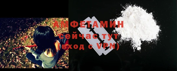 молекула духа Вяземский