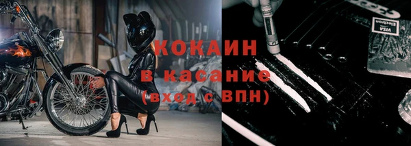 молекула духа Вяземский