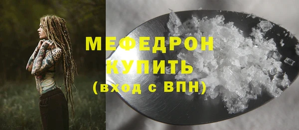 молекула духа Вяземский