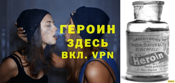 молекула духа Вяземский