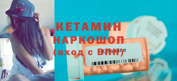 молекула духа Вяземский