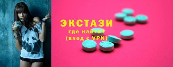 молекула духа Вяземский