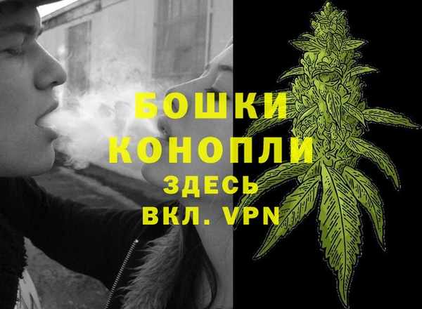 молекула духа Вяземский