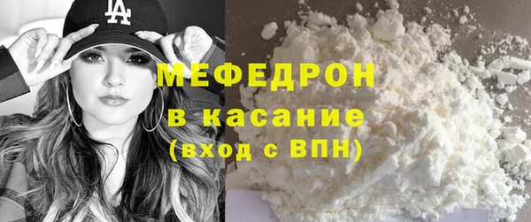 молекула духа Вяземский