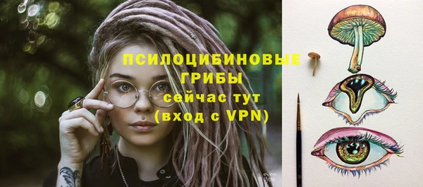 молекула духа Вяземский