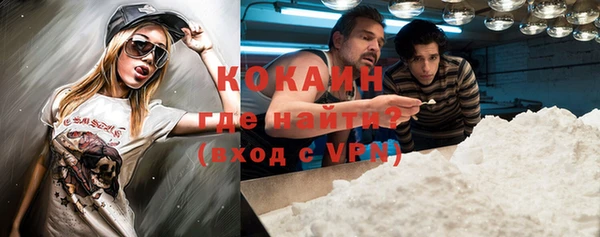 молекула духа Вяземский