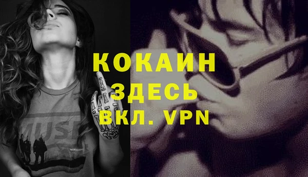 молекула духа Вяземский