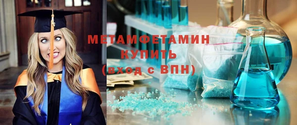 молекула духа Вяземский