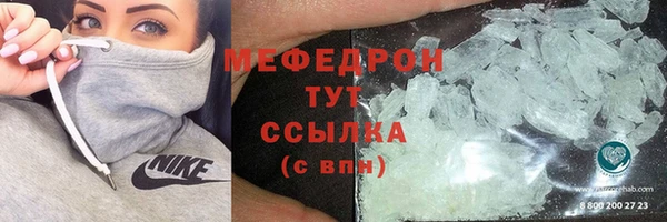 молекула духа Вяземский