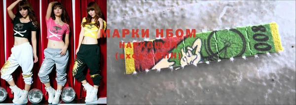 молекула духа Вяземский