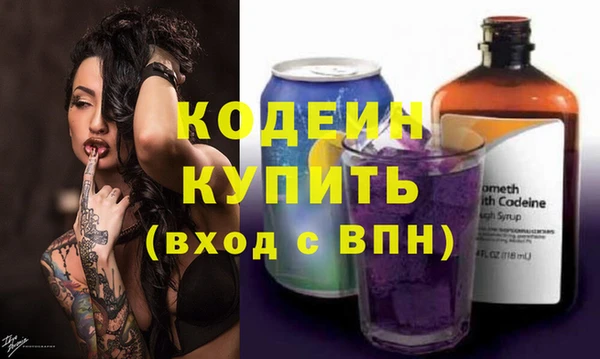 молекула духа Вяземский