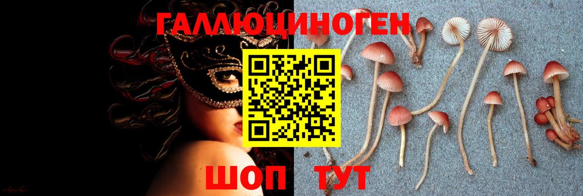 Галлюциногенные грибы Psilocybine cubensis  Вход с VPN  Псилоцибиновые грибы мицелий  Нерюнгри 