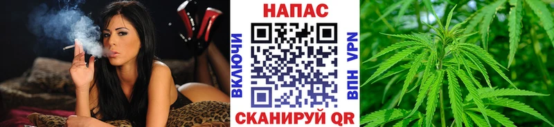 Бошки марихуана индика  Нерюнгри 